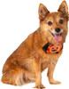 Rubie's Jack O'Lantern and Ghost Pet Collar Slide