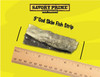 Savory Prime Cod Skin Fish Strips, 8oz.