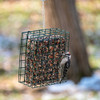 Mr. Bird NutCake SM/LG