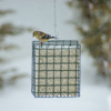 Mr. Bird Safflower Cake SM/LG
