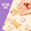 Product infographic for Old Mother Hubbard dog biscuits showing a hand holding an iced bone-shaped treat to illustrate its actual size.