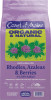 Option 1: Detailed
Front packaging of a bag of Coast of Maine fertilizer against a solid white background. The bag is light purple with a prominent lime green and dark blue label block near the top. The cursive white text reads "Coast of Maine," followed by large dark purple text reading "ORGANIC & NATURAL." Below the brand name is an illustration of dark pink or purple rhododendron flowers surrounded by green leaves. The lower half of the bag displays text reading "FERTILIZER FOR Rhodies, Azaleas & Berries" with the chemical formula "4-5-2 (4% Sulfur)" and the claim "PROMOTES GROWTH FOR ACID-LOVING PLANTS." Three small line drawings illustrate a rhododendron, an azalea, and berries next to an icon reading "100% OCEAN & LAND INGREDIENTS." The bottom corner lists "NET CONTENTS 4 LBS (1.81KG)" alongside a product barcode.