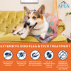 An infographic for Apex Animal Health extensive dog flea and tick treatment. The top features a Pembroke Welsh Corgi dog relaxing on a green tufted sofa. The bottom is an orange panel with five icons detailing product benefits, including killing fleas and ticks rapidly, preventing pupae development, and eliminating fleas at all life stages.