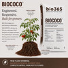 Bio365 BIOCOCO coco coir growing media showing tomato plant root development, vertical growth control, and root-zone optimization benefits