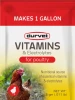A front product photograph of a small Durvet Vitamins & Electrolytes for Poultry packet, isolated against a white background. The packaging features a bright red top section reading "MAKES 1 GALLON," a clean white middle with the Durvet logo and product name, and a yellow-tinted bottom corner depicting a brown hen standing in a grassy yard.