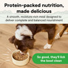 An infographic showing a dog eating pate wet food from a bowl on a light wood floor, isolated against a white background.