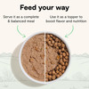 An infographic showing a dog bowl split in half, illustrating wet food served as a complete meal on the left and as a kibble topper on the right, isolated against a white background.