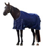 A dark brown horse wearing a navy blue WeatherBeeta ComFiTec Prelim standard neck turnout sheet with white trim, isolated on a white background.