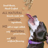 An infographic for Spunky Pup dog biscuits highlighting small-batch, hand-crafted quality, limited ingredients, no added salt or sugar, natural preservatives, and no artificial flavoring beside a dog looking up at falling treats, isolated on a white background.