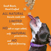 An infographic for Spunky Pup dog biscuits on an orange background highlighting small-batch, hand-crafted quality, limited ingredients, no added salt or sugar, natural preservatives, and no artificial flavoring beside a dog looking up at falling treats, isolated on a white background.