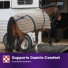Horse wearing a plaid blanket entering a trailer, with Purina text highlighting gastric comfort support in stressful situations.