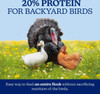 Turkey, duck, and chicken in a grassy field with text highlighting 20% protein and balanced nutrition for an entire backyard flock.