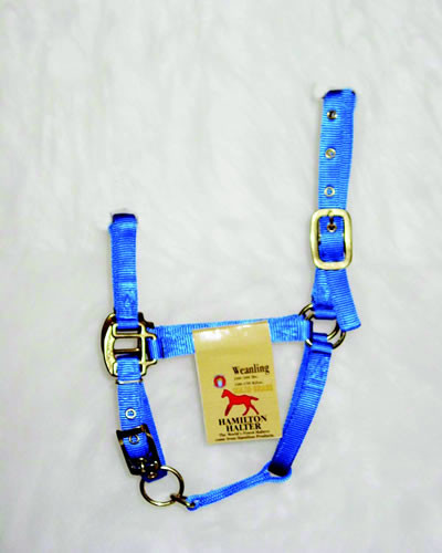 Licol Hamilton 1 En Nylon Pour Cheval Taille Large (1100-1600 Lbs) - Vert - Neuf