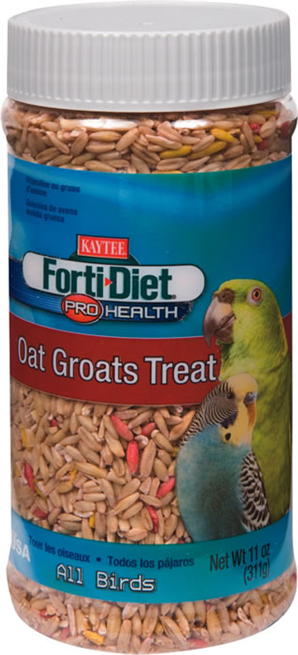 Kaytee Forti-Diet Pro Health Honey Treat - Parrot - 7 oz