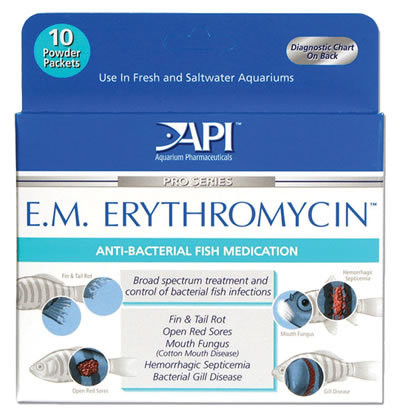 API E.M. Erythromycin
