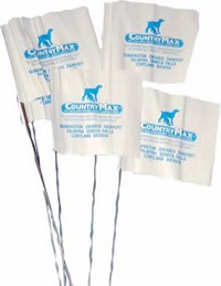 invisible fence flags