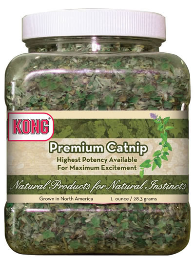 KONG Premium Catnip - CountryMax - Catnip Filled Kongs