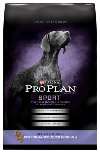 performance dog food