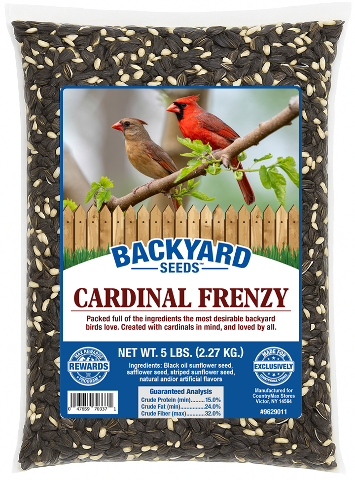 What Bird Seed Attracts Cardinals: Top Picks to Draw These Vibrant Birds