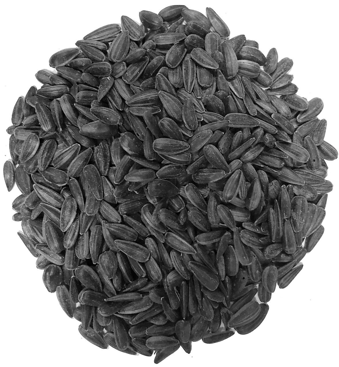 bulk black oil sunflower seeds for birds