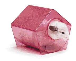 Super Pet Chinchilla Bath House CountryMax
