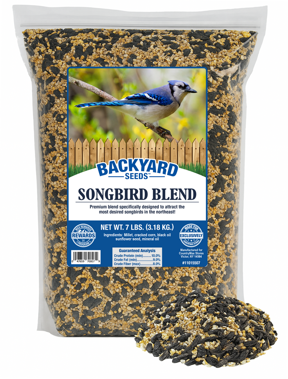 Where to Buy Wild Bird Seed: Top Trusted Stores Revealed