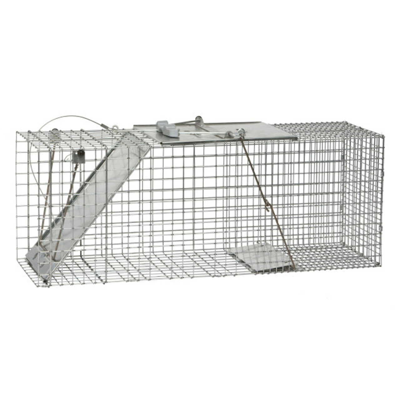 Havahart 1-Door Raccoon Trap, Extra Large - CountryMax