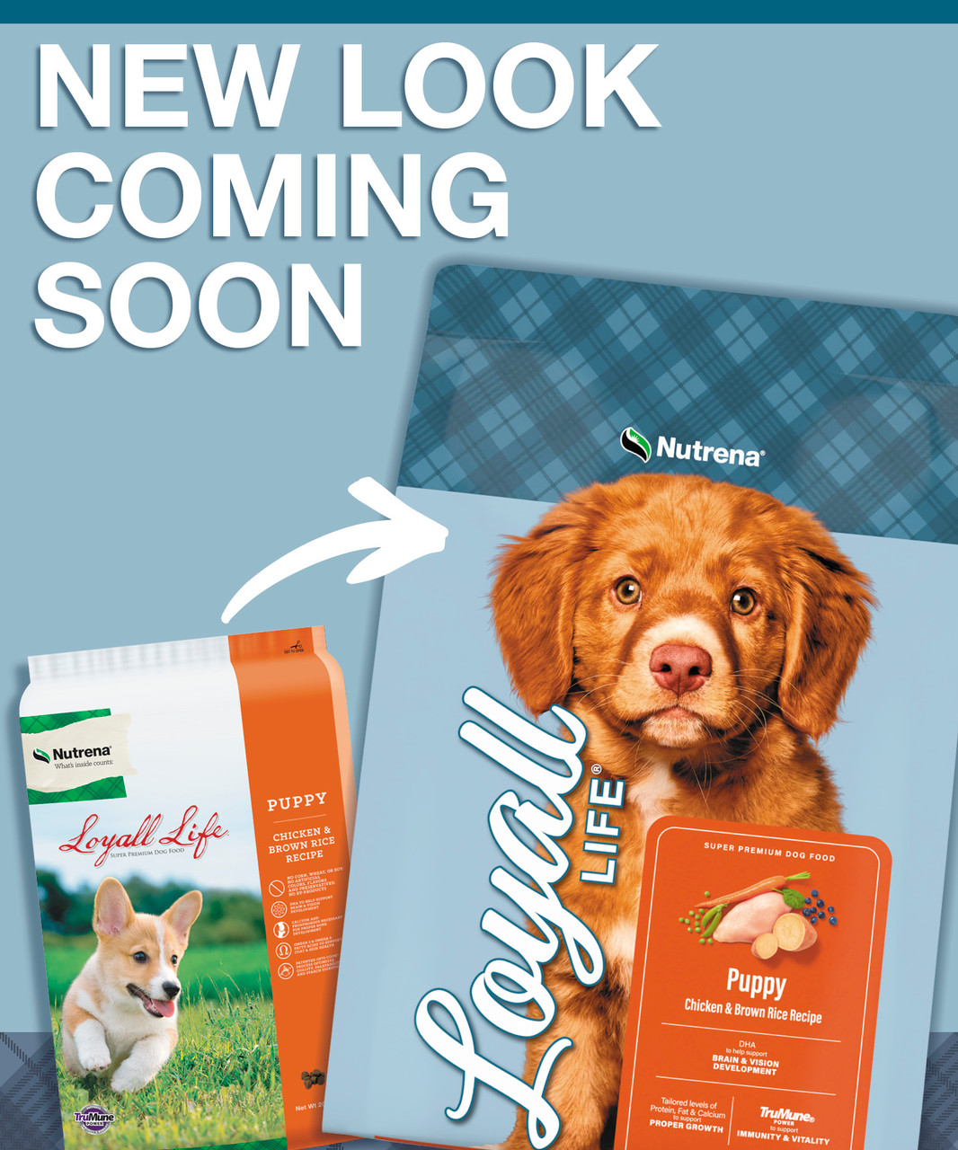 Beef Loyall Life Grain Free Salmon With Sweet Potato Recipe Loyall