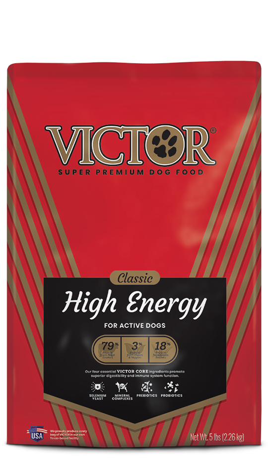victor active dog food