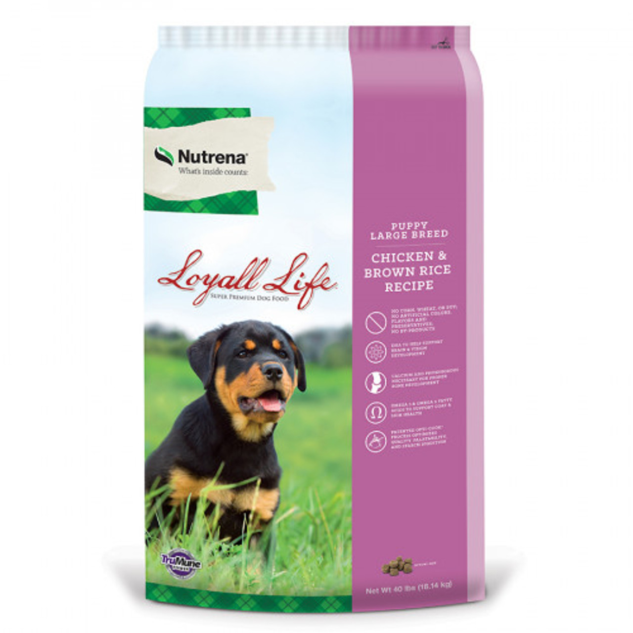 Large breed clearance puppy formula