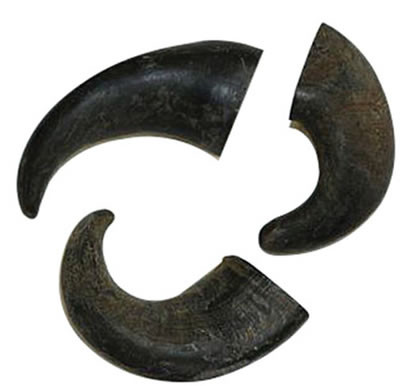 Aussie Naturals Water Buffalo Small Bully Horn for Dogs CountryMax