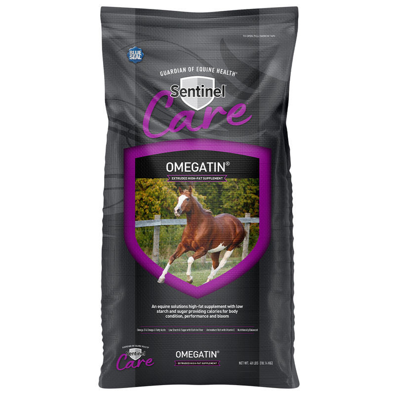 blue bat dog vitamin