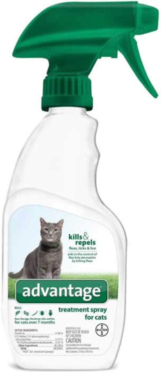 advantage flea and tick for cats