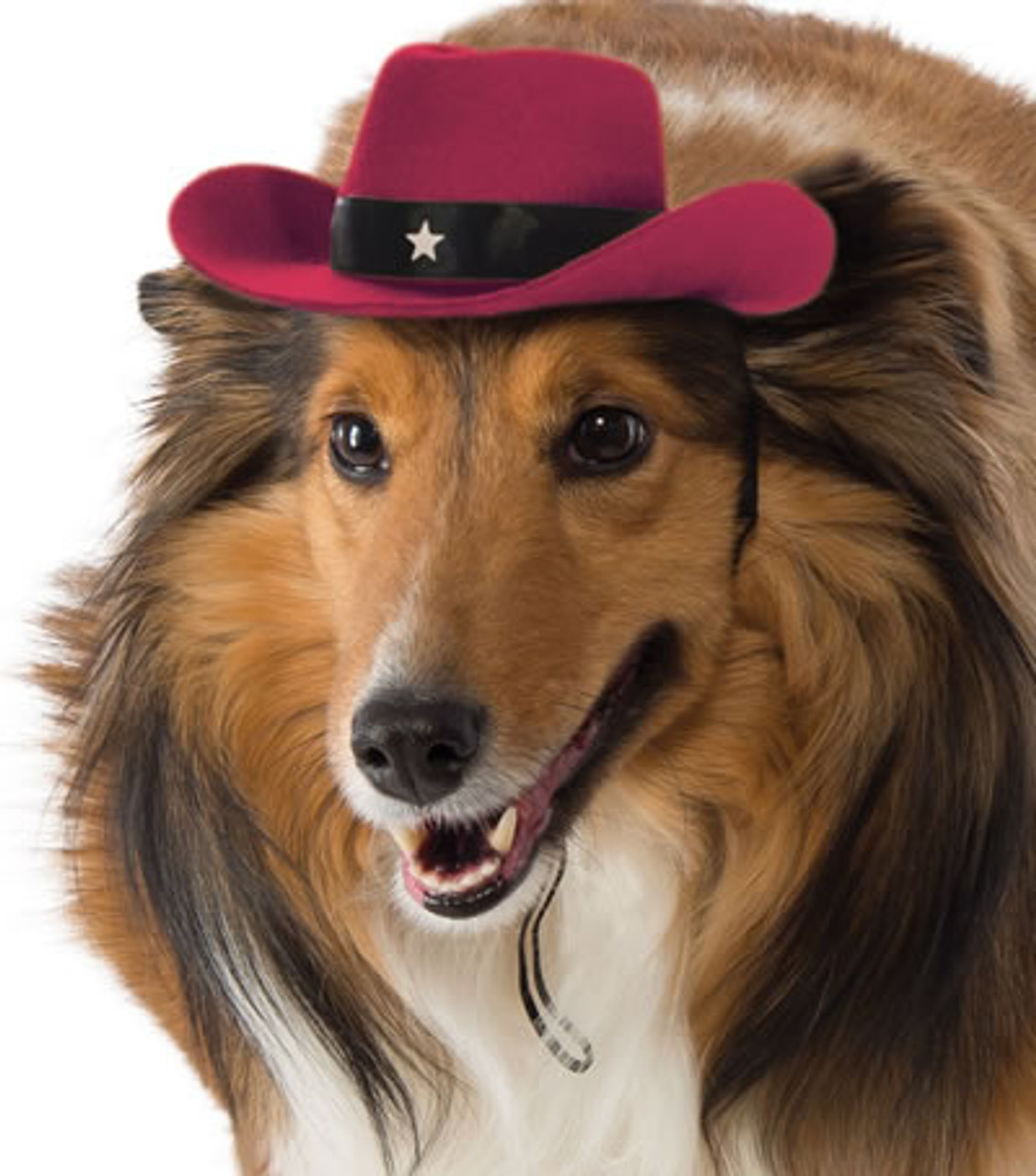 Cowboy Hat Dog Costume - Red