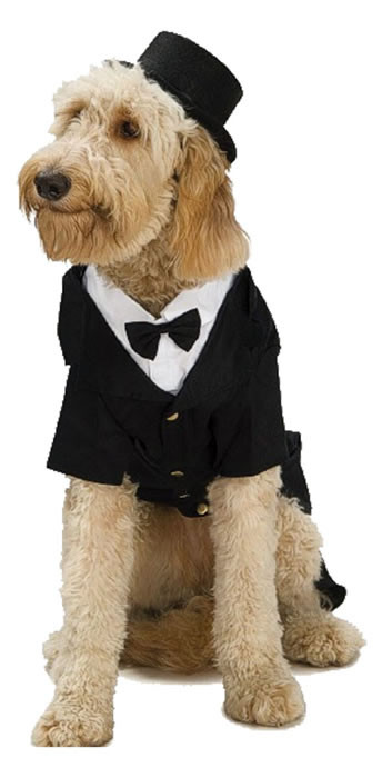 Rubie's Halloween Costume Company Top Hat CountryMax