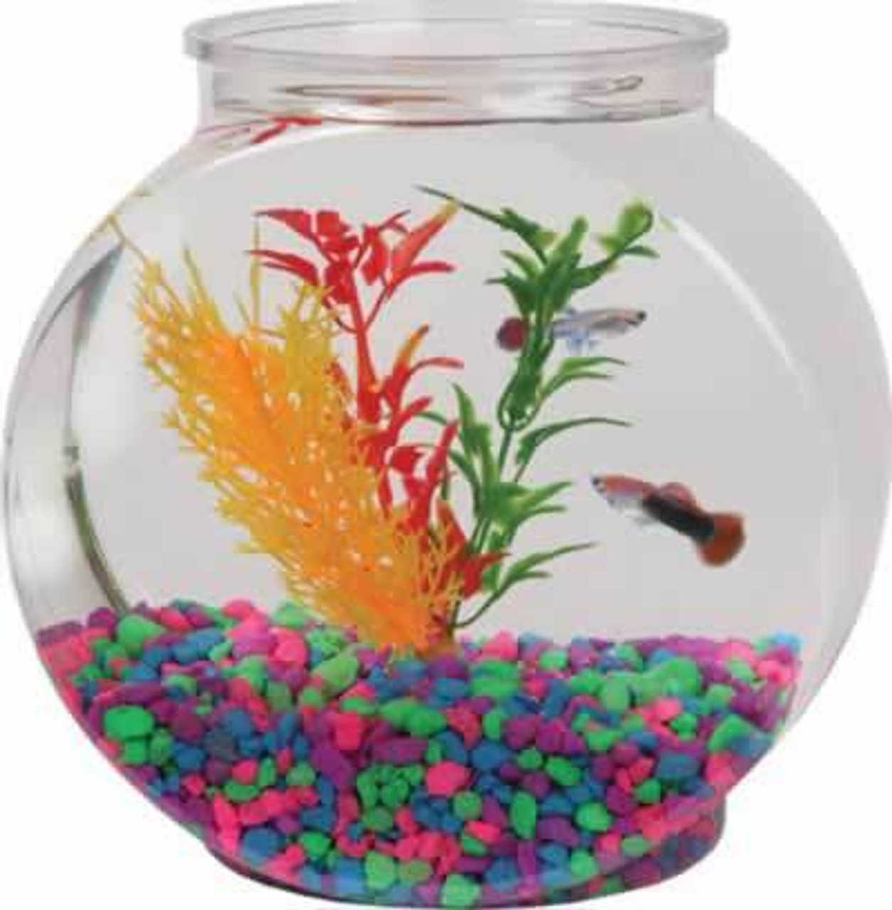 fish bowl lid