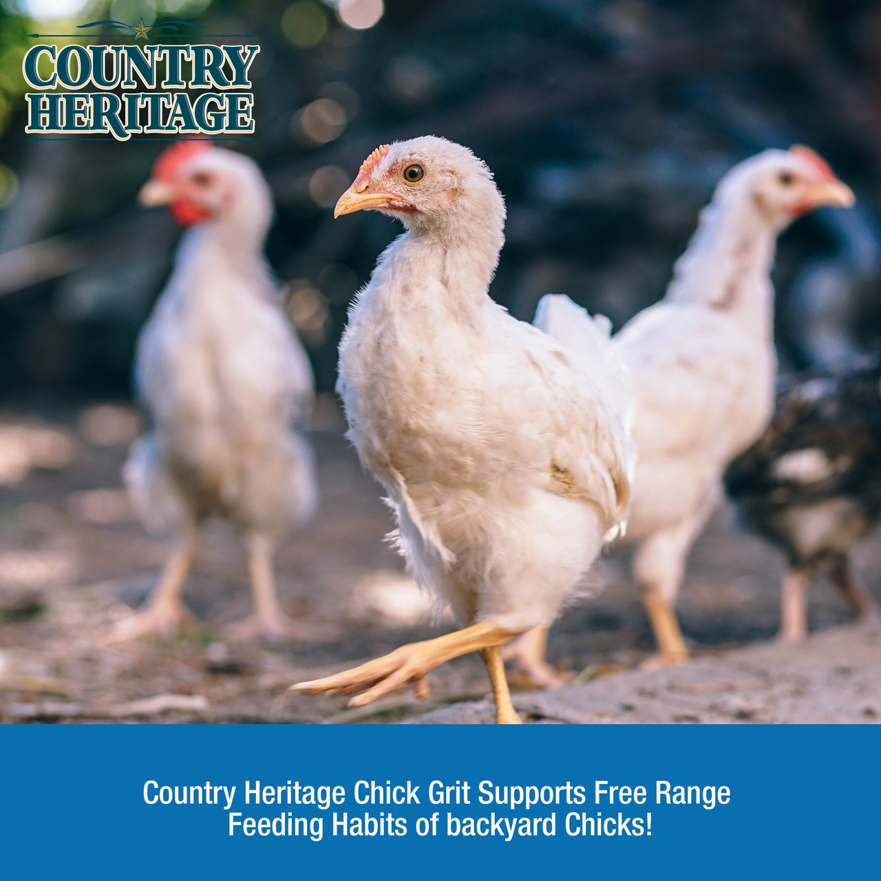 Country Heritage Chick Grit, 5 Bag CountryMax