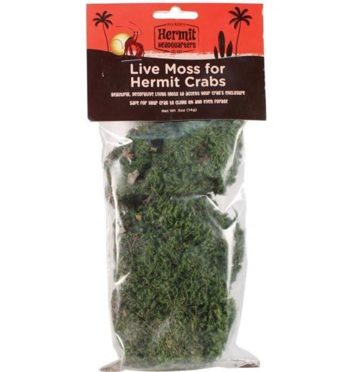 Fluker's Hermit Crab Lagoon Small