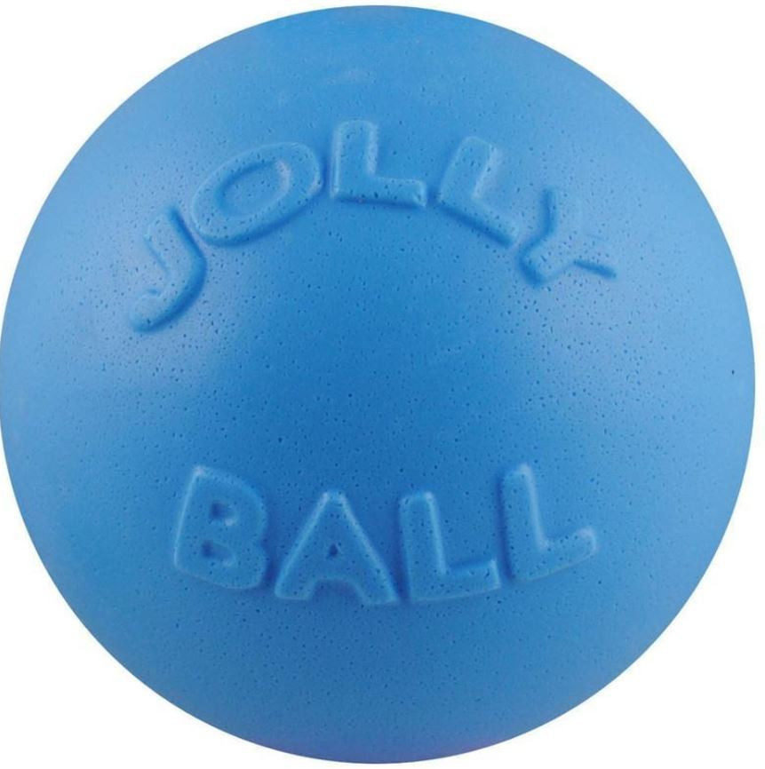Jolly Pets Blueberry Bounce-n-Play Dog Toy - CountryMax
