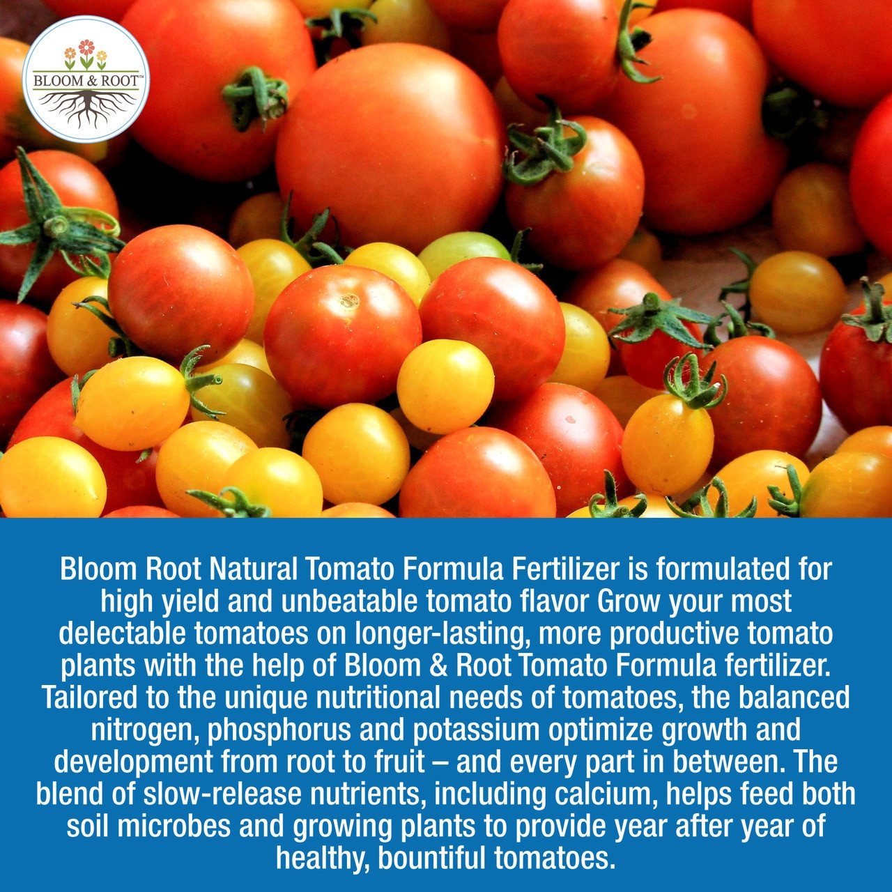 Bloom & Root Natural Tomato Formula Fertilizer 333, 4 Lbs CountryMax