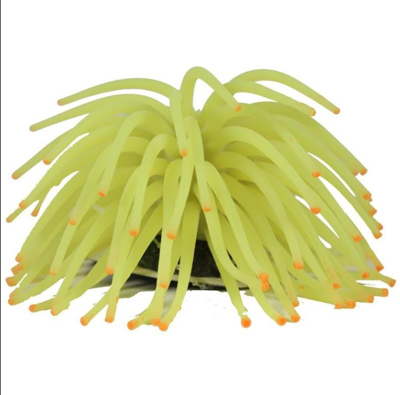 Tetra Glofish Aquarium Medium Yellow Anemone Ornament Countrymax
