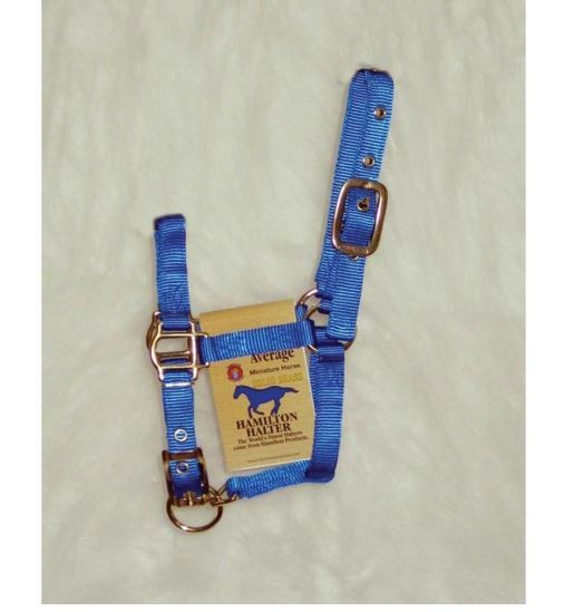 Hamilton Halter Adjustable Miniature Horse Halter, Blue CountryMax