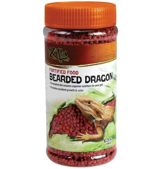 zilla bearded dragon kit