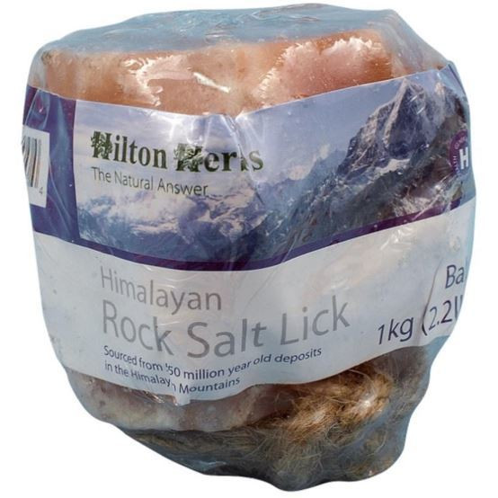 himalayan salt for betta fish