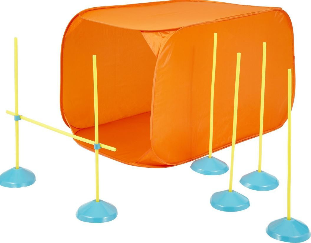 weight loss for older dogs