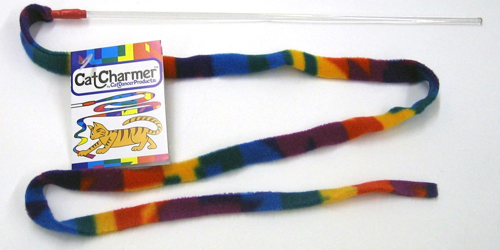 cat dancer rainbow cat charmer