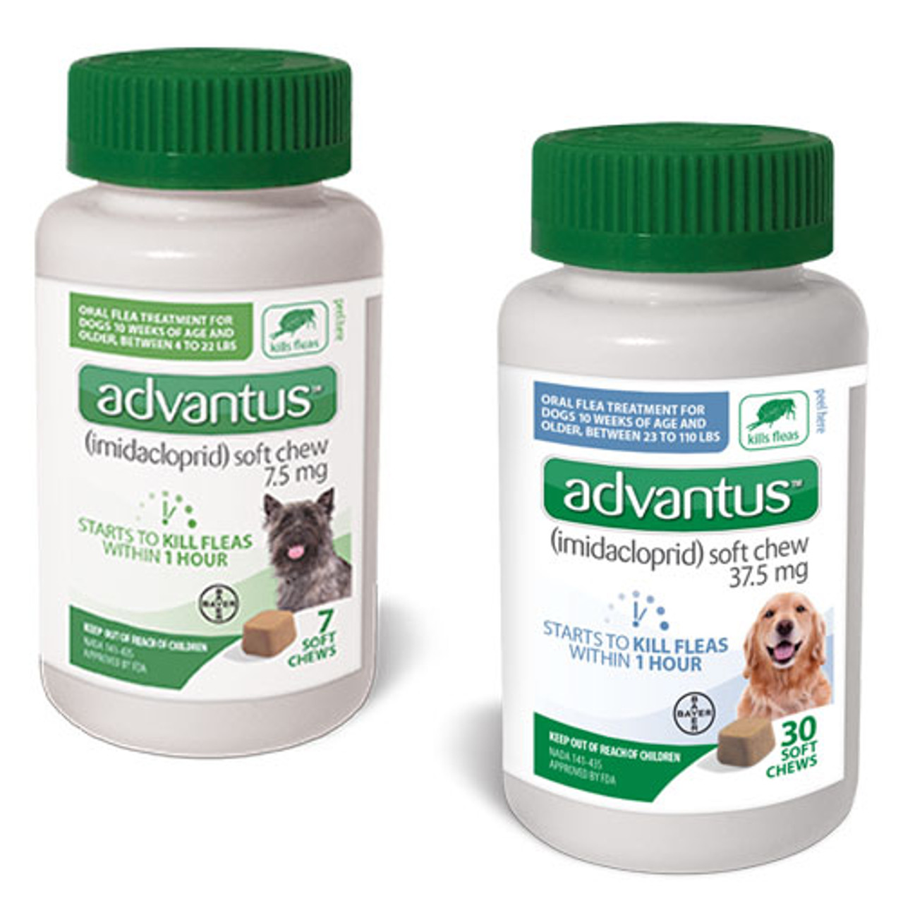 advantus soft chew