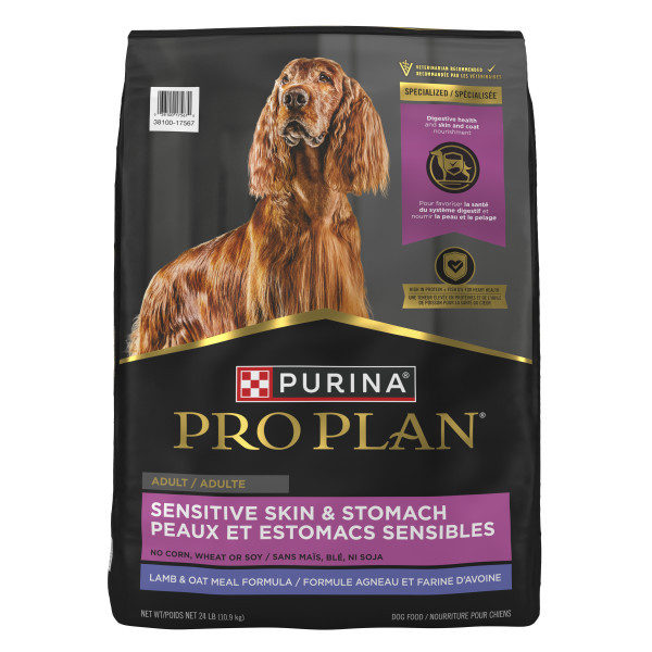 Purina Pro Plan Focus Adult Sensitive Skin Stomach Lamb