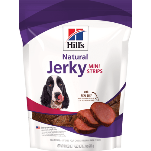 hills mini puppy food