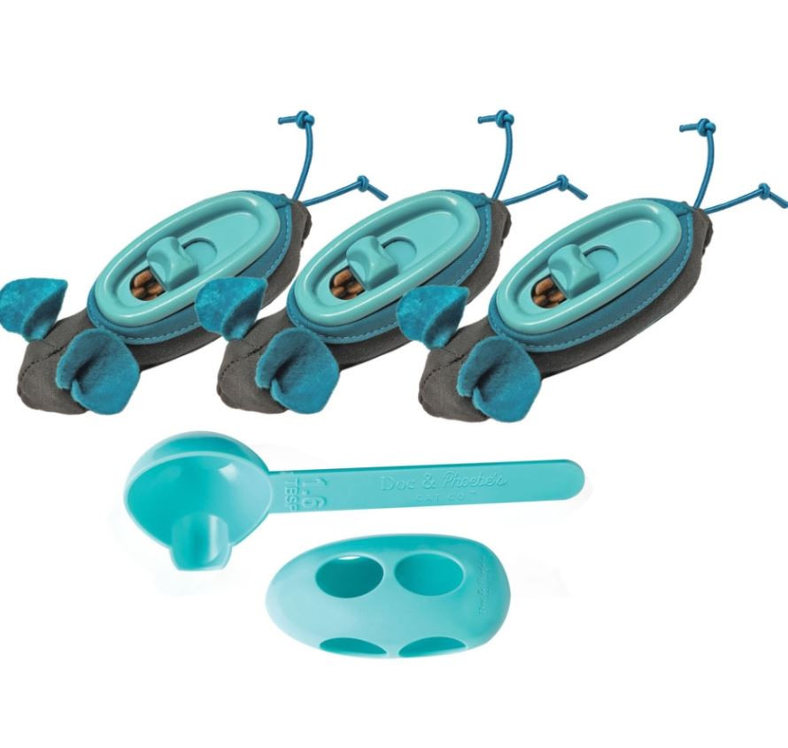 indoor hunting feeder cats